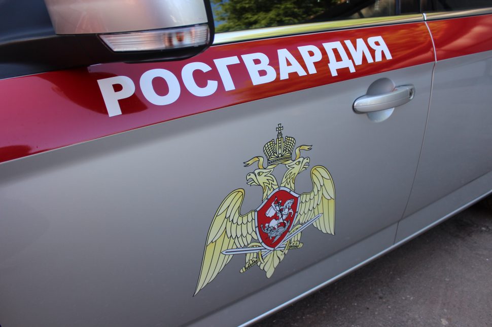 Сотрудники Росгвардии за прошедшую неделю изъяли у жителей Архангельской области за нарушения 22 ед. оружия